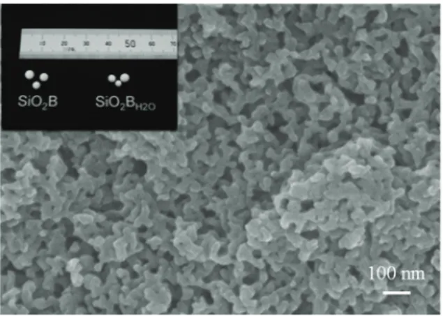 Fig. 1 shows the SEM image of SiO 2 B  and the optical photo of SiO 2 B and SiO 2 B H2O 