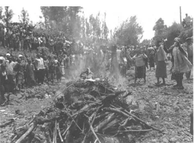 Figure  3.  People  throwing  cursing  plants  into  fire