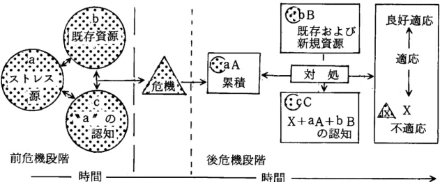 図 2 家族適応の二重 ABCXモデル McCubbin  &amp;  P a t t e r s o n ，  1 9 8 1 ，  p .  9  マッカバンの 2 重 ABCX モデルについては以下の文献を参照されたい。