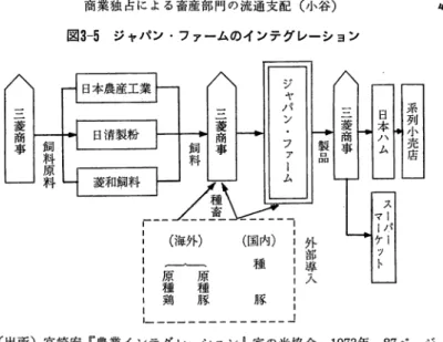 図 3 ‑ 5 ジャパン・ファームのインテグレーション （海外） 原種豚一 原 種 鶏 （国内）種 豚 外部導入 （出所）宮崎宏『農業インテグレーション』家の光協会， 1 9 7 3 年 ， 8 7 ページ られている。また肉豚についてはすでに述べた通りである。 すでに示され， くり返し述べてきたような巨大商社資本の畜産部門への進出 の拡大化は， さらに投下された資本の回収のいっそうの加速性が要請される。 このような資本の回転は，生産期間と流通期間によって規定されるが， ここで はとくに生産期間についてみて