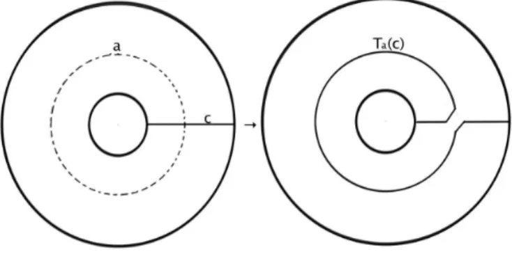 Fig. 6.1. The Dehn twist along a.