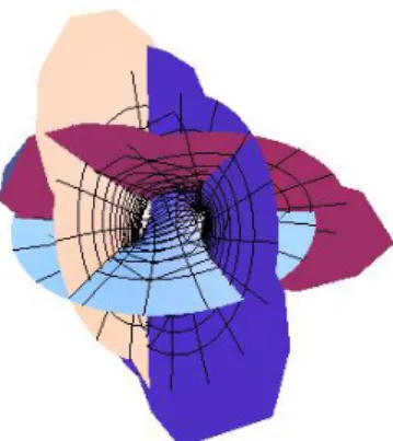 図 19: M 0 の平坦型随伴極小曲面 M 06 (θ = π) 図 20: N 0 の随伴 Willmore 曲面 N 06 (θ = π) 図 21: M 0 の平坦型随伴極小曲面 M 09        θ = 3π 2  図 22: N 0 の随伴 Willmore 曲面 N 09  θ = 3π2  今後の課題  本稿では，エンドが 4 個の平坦型極小曲面の共役極小曲面を反転することで得られる共役 Willmore 曲面の可視化が主結果となっている．しかし，構成法について， Pe