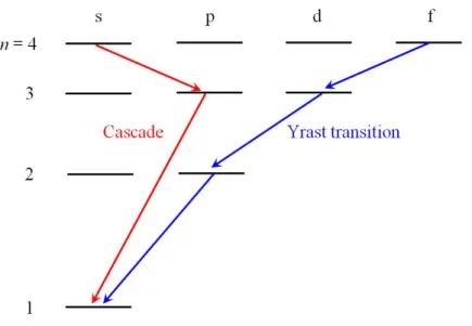 Figure 2.3: An example of cascade and yrast transitions.