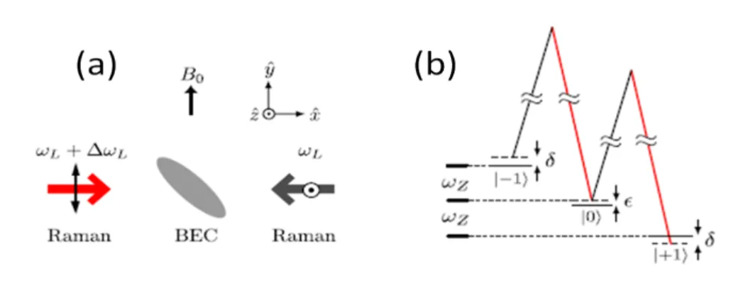 Figure 3.1: Experimental setup to create the artificial gauge field in BEC[51]. (a) The two Raman lasers with frequencies ω and ω + ∆ω and the external magnetic field with the strength B 0 are applied to 87 Rb BEC