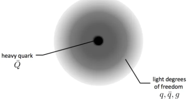 Figure 5.1: A hadronic system containing a single heavy quark and light degrees of freedom