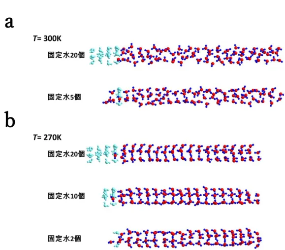 図 4.2.13  水クラスターの構造。水色で表示しているのは固定の水分子。(a)は T  = 300K