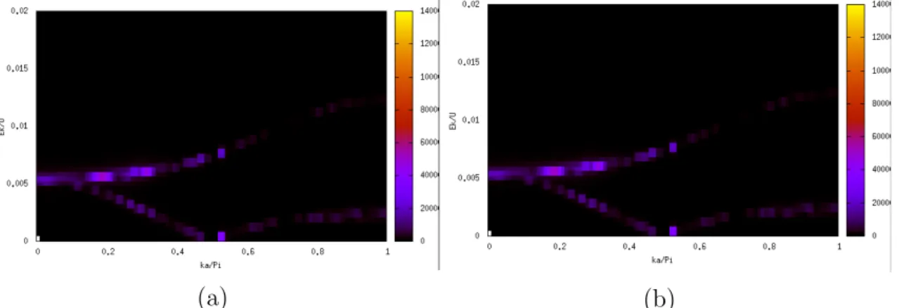 図 5: (ka/π, E k /U ) 平面の PSF の動的構造因子 S ¯ F ˆ (k, ω) 。 n t = 1, t/U = 0.03, U 12 /U = − 0.7 である。 (a)1 成分の密度揺らぎの応答 F ˆ 1,i ,(b) 同相の密度揺 らぎの応答 F ˆ 1,iin