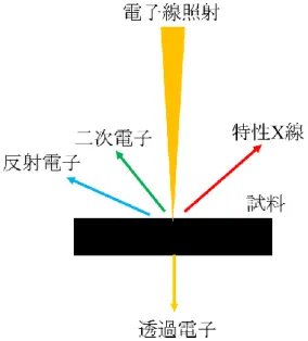 図 27 SEM-EDX の概念図 