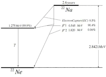 図 2.8 22 Na の崩壊様式