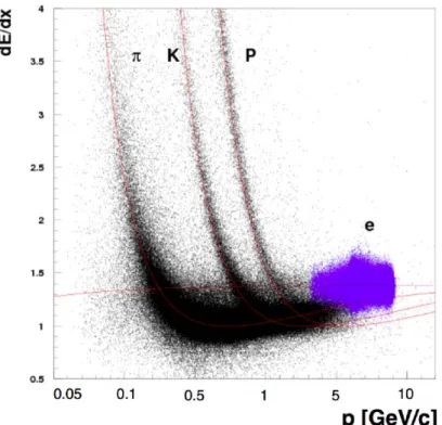 図 2.5: 粒子の運動量とエネルギー損失の関係 CDC は内側の半径が 16cm、外側の半径が 113cm の筒状の構造をしており、内部にはヘリウム とエタンの混合ガスが充填されており、荷電粒子が通る際にイオン化されて電子が生成される。また CDC 内部には高電圧が印加された信号読み出し用の直径 30µm の金メッキタングステン・センスワ イヤー 14336 本と電場形成用の直径 126µm のアルミニウム合金・フィールドワイヤー 42240 本、全 部で 56576 本のワイヤーが円筒の中心軸方向に張ら