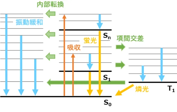 図 2.3 分子の冷却過程 固体や液体中の分子は，分子間相互作用により振動しながら冷却される．これは振動緩和 と呼ばれ（図 2.3 ：水色の線）， ps 以下の非常に速い遷移である．そのため振動励起状態に ある分子は直ちに振動基底状態まで遷移する． その後電子励起状態にある分子は，より低い電子準位の高振動準位へと遷移する．これは 同じ多重度間では内部転換，異なる多重度間では項間交差と呼ばれる（図 2.3 ：緑色の線）． 内部転換は，分子が蓄えているエネルギーを失うことなく電子励起状態から電子基底状態の 高振