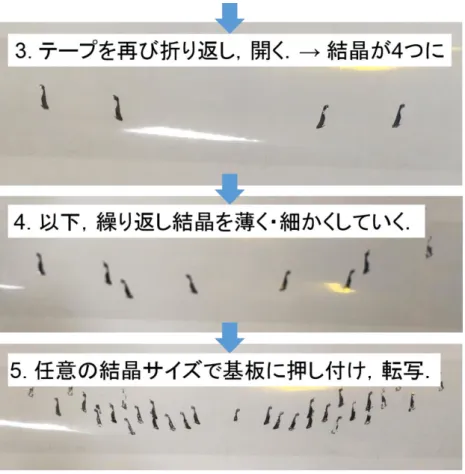 図  ２-16：WTe 2 結晶の劈開の様子 