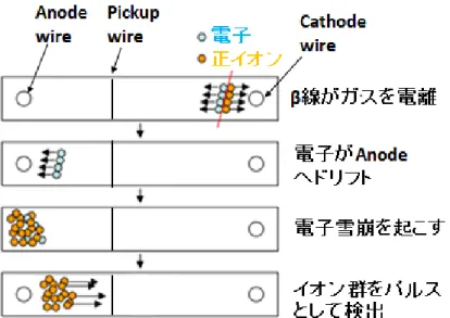 図 2.1.4: 信号検出のメカニズム  またアノードワイヤーから検出された信号は XY 平面において円軌道を描き、 ピックアップワイヤーから検出された信号は XZ 平面において正弦曲線を描く。 図 2.1.5: XY 平面 ,XZ 平面への射影図   XY 平面に円フィッティング、 XZ 平面に正弦波フィッティングを行ったものが 図 2.1.6 である。フィッティングによりわかったフィッティング半径 r[cm] と螺旋 運動のピッチ角λを用いて、運動量を p[MeV/c], 磁束密度を B[KG] とする