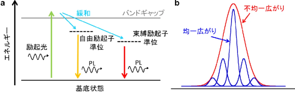 図  2.2  (a)  励起子発光の光学遷移の模式図    (b)  発光スペクトルにおける均一広がり、不均一 広がり  発光スペクトルの測定には、顕微ラマン分光器（Renishaw,  inVia）を用いた。本機 器では、レーザー光を試料に照射した際の発光を測定する。レーザー光は 100 倍の対 物レンズを用いて、直径約 1 m に集光して試料に照射する。測定は 532 nm のレーザ ー光源を用い、600  本/mm のグレーティングを用いた。  図 2.3  本研究で用いた顕微ラマン分光器  2.