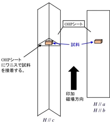 図 3.9 試料のセッティング模式図