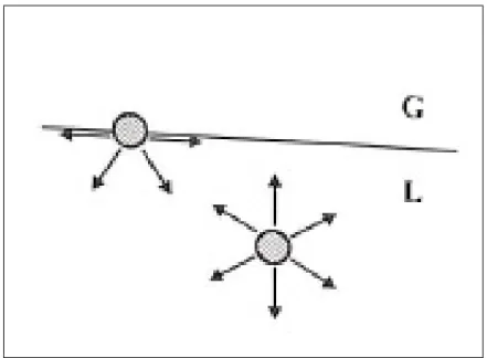 図 1.3: 液体の表面の分子は、半分が互いに引き合う分子とのくっつく部分を失っており、 「よくない状態」である。このように液体の表面にいる分子の数を最小にしようとして液 体は変形する。G は気体、L は液体を表す。 された領域では部分溶解、すなわち２つの液相が存在し、その外の L1、もしくは L2 の領 域では完全溶解、すなわち液相は１つになる。  二相領域内に点 A を定め、そこを通る水平の線を引き、その線が曲線と交わる点を B、 C とする。この温度では A 点の組成に相当する系は２つの液相に分離し、