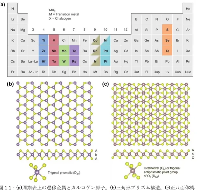 図 1.1：(a)周期表上の遷移金属とカルコゲン原子。(b)三角形プリズム構造。(c)正八面体構 造[1]。 1.1.1  TMDC 原子膜の電子構造  TMDC の電子構造は中心 M 原子と d 電子数の配位環境に強く依存する。図 1.2 に示 すように TMDC の非結合 d バンドは M‐X 結合のσ結合軌道とσ * 結合軌道とのバンド ギャップ範囲内に見られる[1]。正八面体型配位の TMDC （D 3d ）では配位子場の影響を 受けて 5 重縮退した d 軌道が d z2 ,  x2−y2  (e