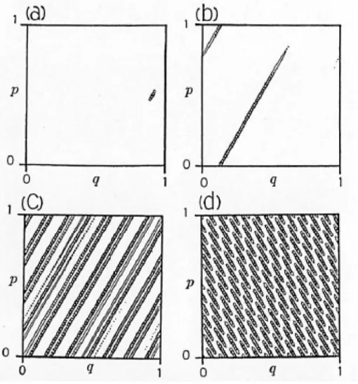 図 2.9: アーノルドの猫写像（カオスを示す写像の一つ）での量子波束の時間発展の様子。