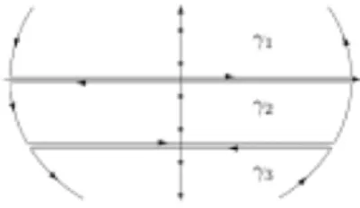 図 9: 複素平面上の積分路 γ 1 , γ 2 , γ 3 [35]。全ての松原振動数を含んだ形で、