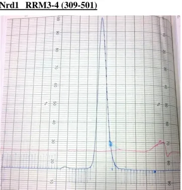 Fig.  11    The  15%  SDS-PAGE  gel  of  Nrd1  RRM3-4  at  Superdex  75  (16/60)  gel  filtration column