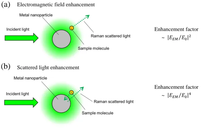 Fig. 1-1. Schematic illustration of SERS mechanism based on  electromagnetic  enhancement   