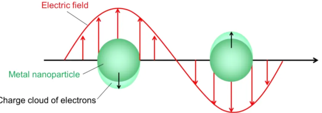 Fig. 3-1. The origin of localized surface plasmon resonance in nanoparticle 