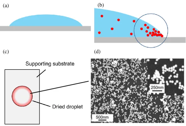 Fig. 4-2. Schematic illustration of dried droplet method; (a) a shape of droplet on a  flat  substrate  (b)  behavior  of  metal  nanoparticles  near  the  contact  line  (c)  Overall  view of dried droplet substrate (d) SEM image of dried droplet substrat