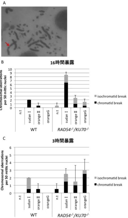 Fig. 7  染色体断裂試験の結果