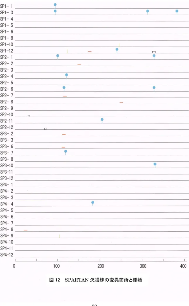 図 12  SPARTAN 欠損株の変異箇所と種類