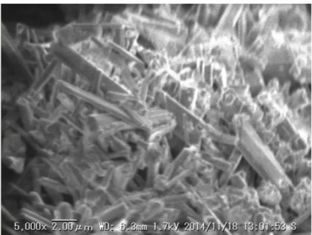 図 4-7  サンプル 5-A(モル比 1：3)の SEM 画像 
