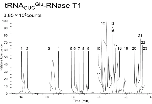 Figure 4-9 tRNA CUCGlu  RNase T1 消化断片のベースピーククロマトグラム 
