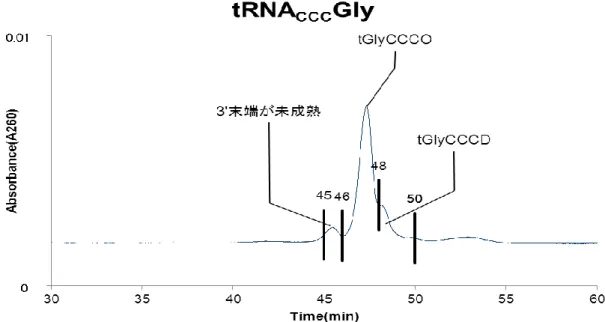 Figure 4-11 tRNACCC Gly の HPLC 精製クロマトグラム 