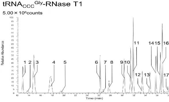 Figure 4-13 tRNA CCCGly  RNase T1 消化断片のベースピーククロマトグラム