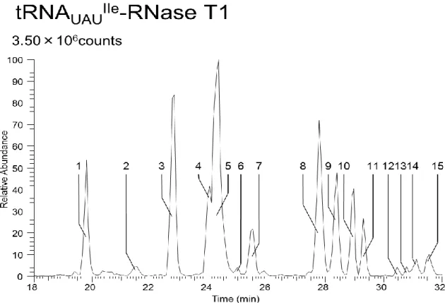 Figure 4-18 tRNA UAUIle  RNase T1 消化断片のベースピーククロマトグラム 
