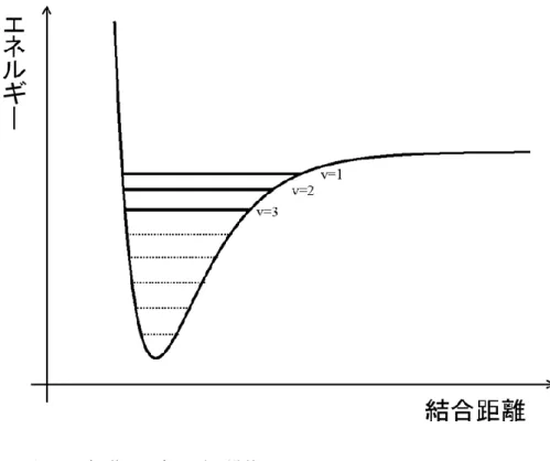 図 1.  振動のエネルギー準位 