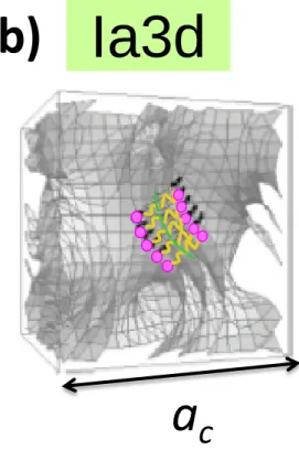 図 3.3 Pn3m相(a)とIa3d相(b)の単位格子の模式図