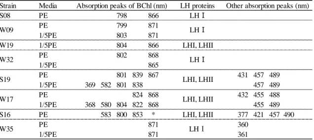 Table III-2. In vivo absorption peaks of the isolates (sonicated) 