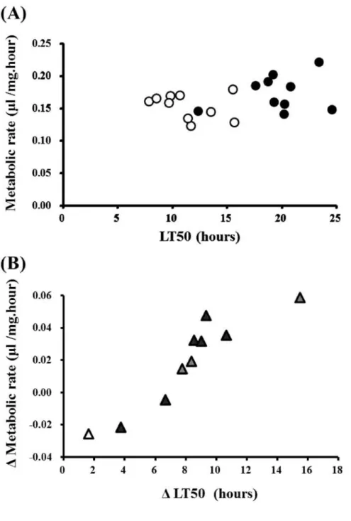 Fig.  5.  Relationship  between  metabolic  rate  and  the  50%  lethal  time  (LT50)  at  1 QC  of  the non-acclimatized  flies  (open  circle)  and  the  acclimatized  flies  (filled  circle)  for  10  D