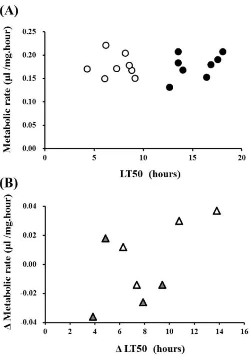 Fig.  6.  Relationship  between  metabolic  rate  and  the  50%  lethal  time  (LT50)  at  1 QC  of  the  non-acclimatized  flies  (open  circle)  and  the  acclimatized  flies  (filled  circle)  for  8  D