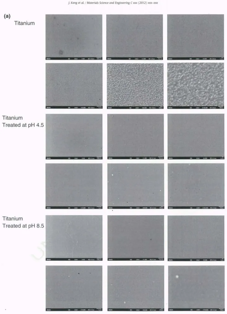 Fig.  5.  SEM images  of dopamine-treated  and  nontreated  titanium  (a)  and  stainless  steel  (b).