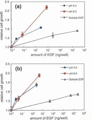 Fig. 7. Amount of EGF immobilized  on titanium  surfaces treated  with  dopamine  at pH  4.5 (-4—) and at  pH 8.5 (~)  (a) and  stainless steel surfaces treated with  dopamine 