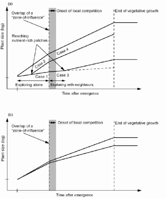Figure 1-1 A schematic diagram of plant growth in an even-aged population under a heterogeneous  (a) or a homogeneous (b) environment