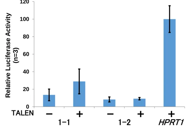 Figure 1 SSA アッセイ結果  ( Patched1 遺伝子 exon1) 