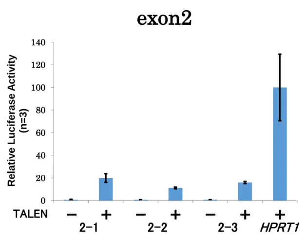 Figure 2 SSA アッセイ結果  ( Patched1 遺伝子 exon2) 