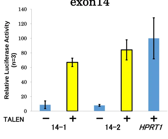 Figure 3 SSA アッセイ結果  ( Patched1 遺伝子 exon14) 