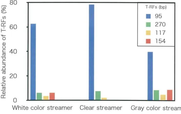Fig. 2.  Relative  abundance  of  16S rRNA  gene  fragments  retrieved  from  three  types  of the  microbial  communities  streamers  on T  RFLP  analysis