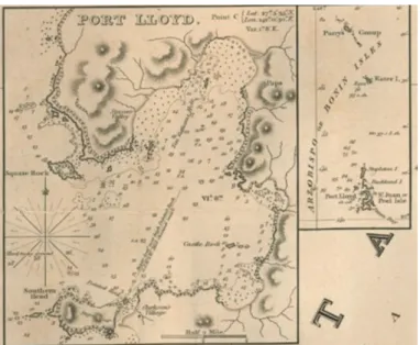 図 19　図 17 の標題下に挿入された Port Lloyd 二見湾と Bonin 諸島の詳細図 　太平洋海図左上の標題直下にこの挿図が置かれており、小笠原への関心の高さをうかがわせる。父島の 二見湾が、地図上ではじめて西に開口した。烏帽子岩は Square Rock。要岩は Castle Rock。大村の位置 に Staver’s Valley、洲崎に Clarkson’s Village の名がある。その沖の野羊山には名称がないが、その後削 平された飯盛山は Sugar Loaf（割って使用する盛り固