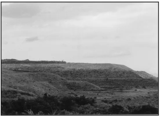 Fig. 5  Disposed rubbish on the karst area 