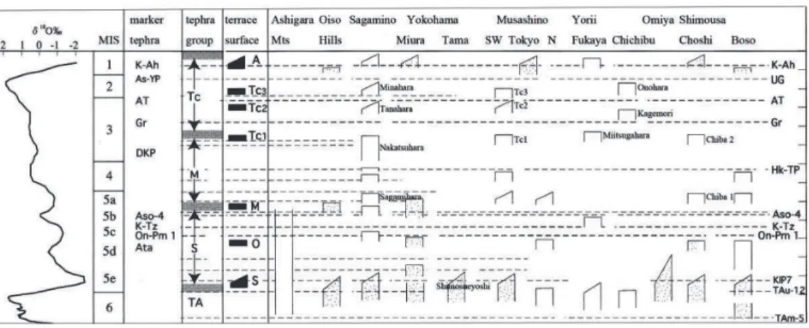 Fig. 2 Chronology of geomorphological surfaces in Kanto Plain during the last Glacial Cycle.
