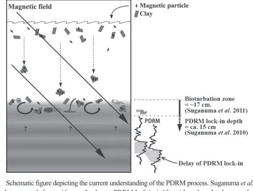 Fig. 1 Schematic figure depicting the current understanding of the PDRM process. Suganuma et al